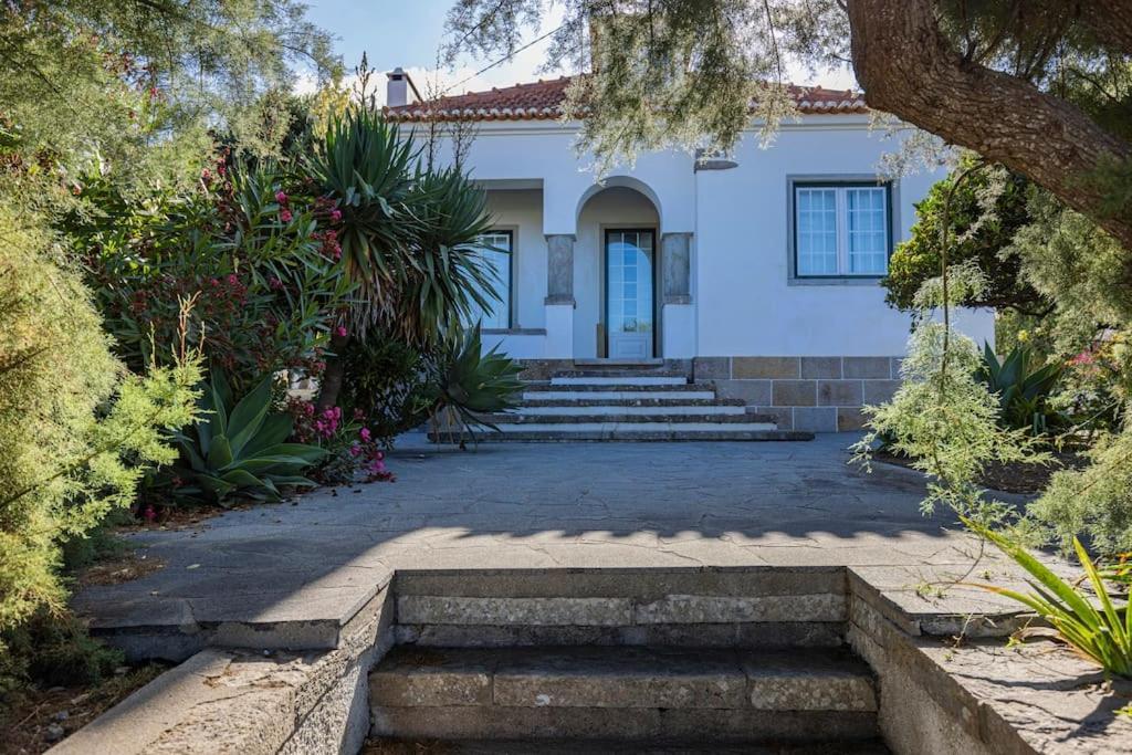 Challet Ericeira Villa Kültér fotó