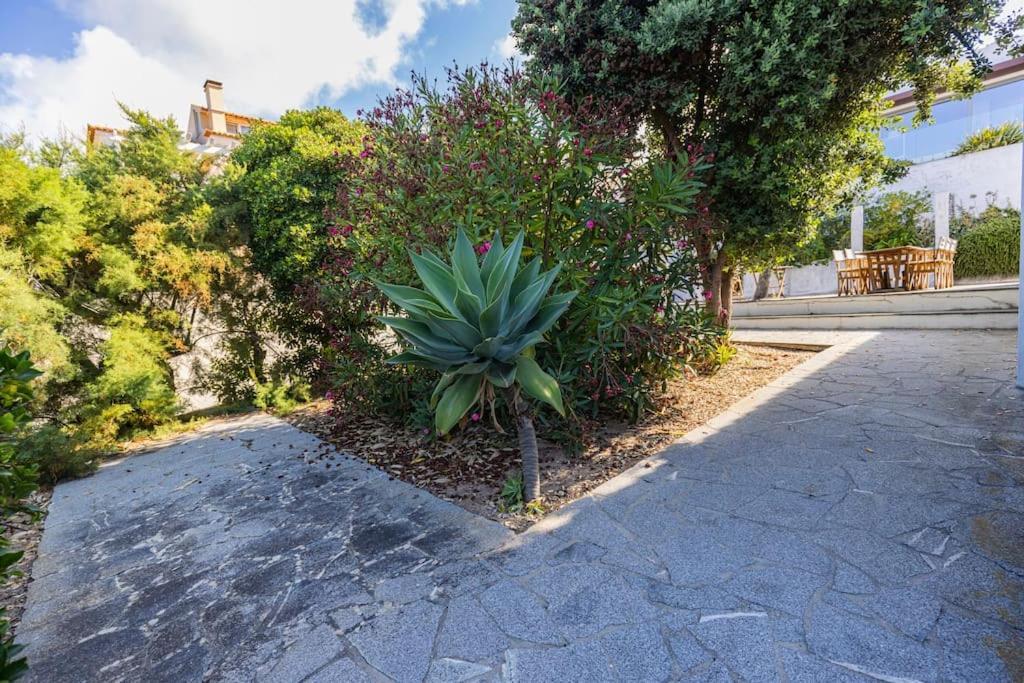Challet Ericeira Villa Kültér fotó