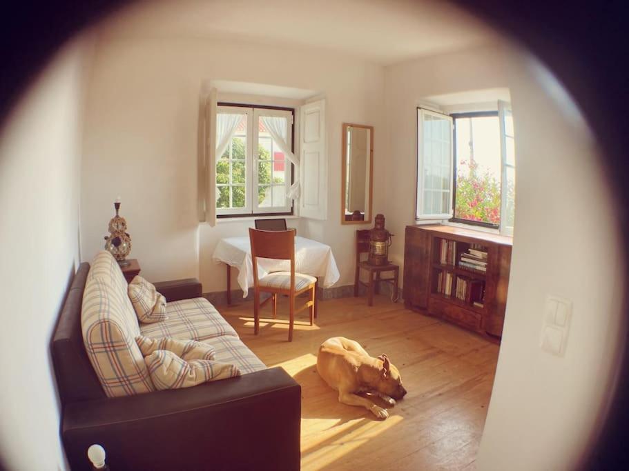 Challet Ericeira Villa Kültér fotó